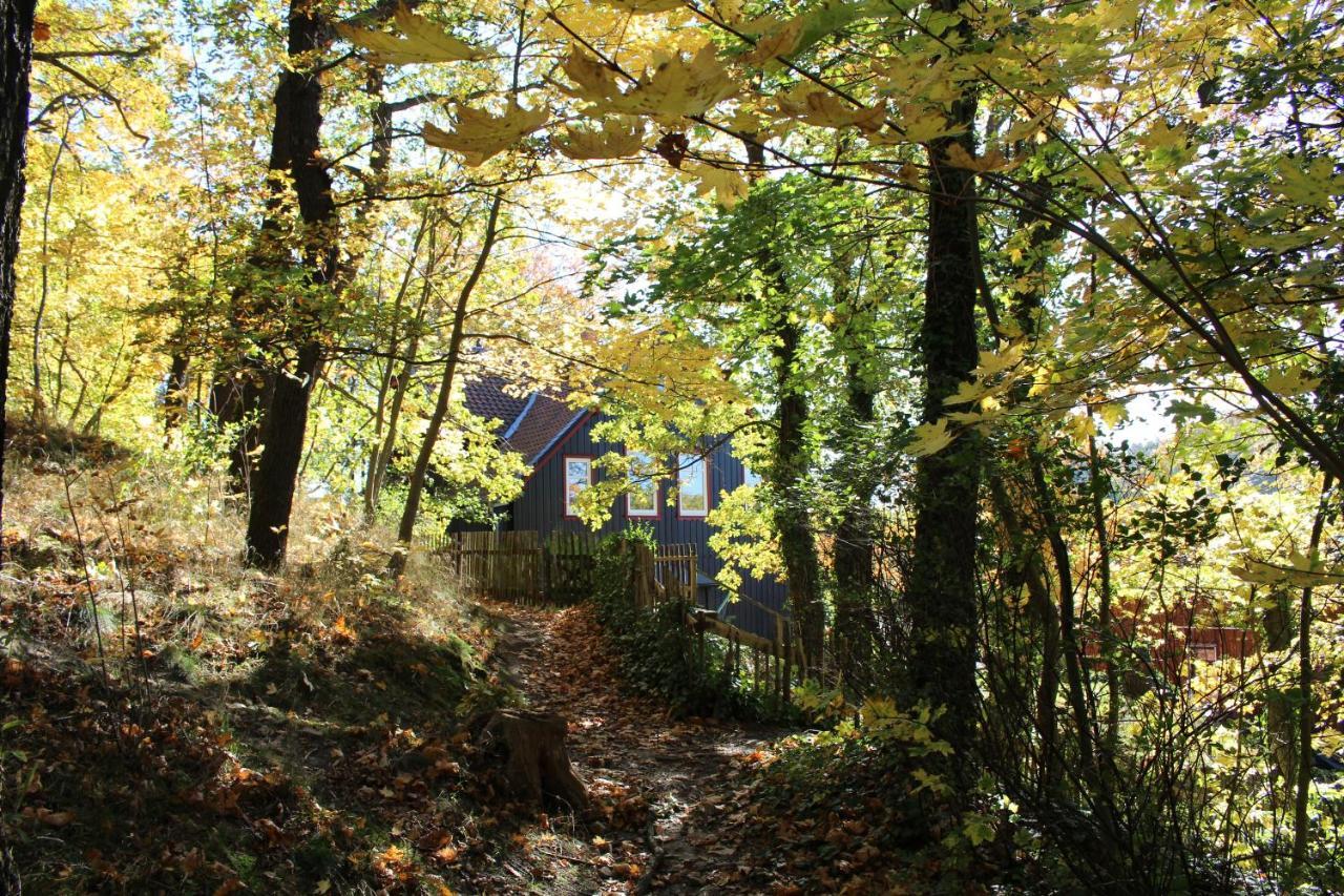 Teufelsmauer 